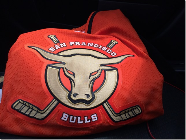 SF Bulls Hockey Jersey