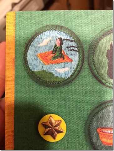 Mystery Girl Scout Badge