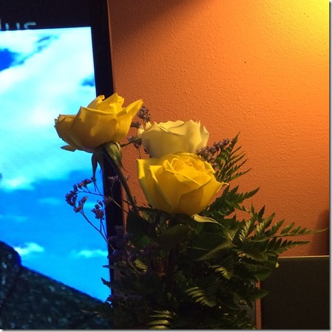 Yellow Roses (2)